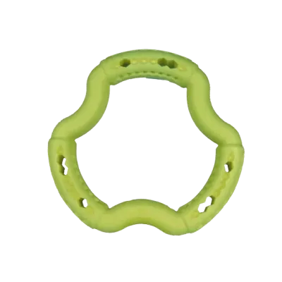 Jouet chien TPR anneau Green Apple 21cm